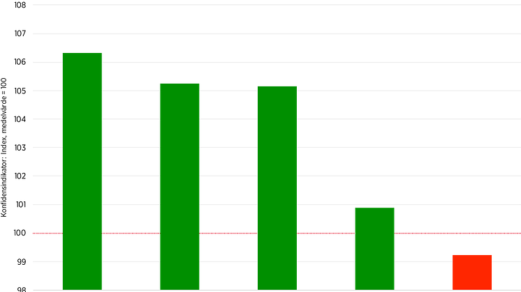 Byggkonj 1 år