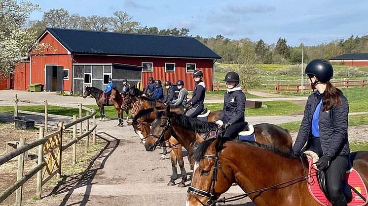 Skolhästarnas journaler granskades noggrant under certifieringen. Ett 80-tal dokument fick skickas in för bedömning. Foto: @naturbruksgymnasiet_kalmar