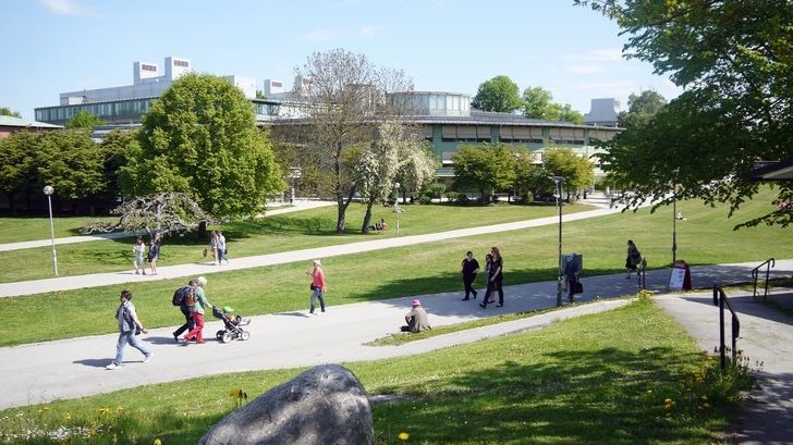 Sommarexperter från Stockholms universitet