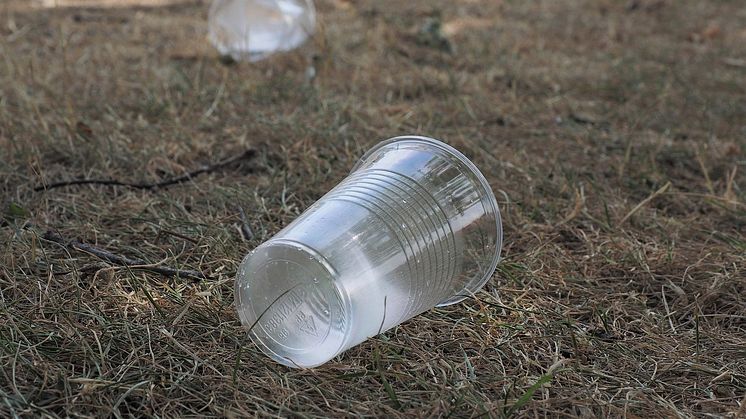 Beans in Cup plastbantar