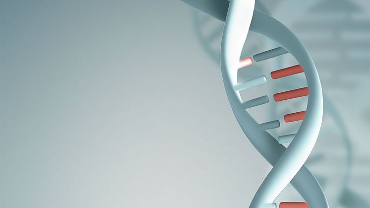 Radon påverkar DNA