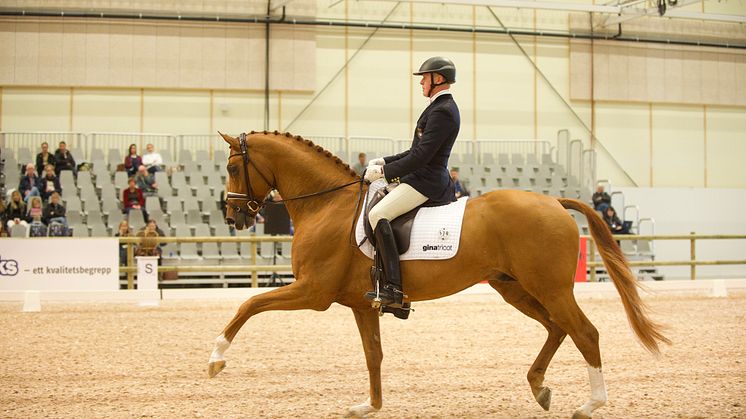 Jan Brink och RayMore i 7-års finalen på Elmia Scandinavian Horse Show.