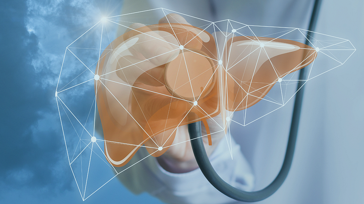 Hepatits-Screening ist ein Erfolgsprogramm
