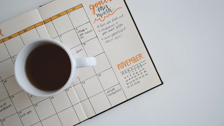 November-Webinare der Deutschen Bildung