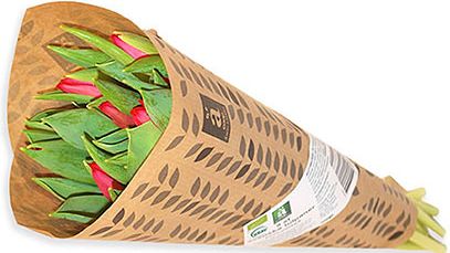 Nu finns det KRAV-märkta tulpaner