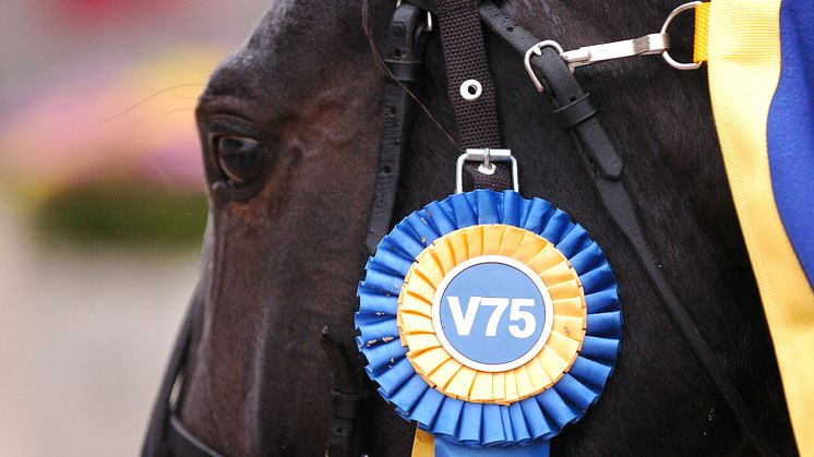 V75 jubilerar med internationell superpott – och världens bästa hästar