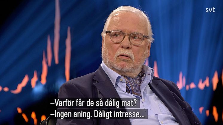 Vad har Leif Mannerström med städning att göra?