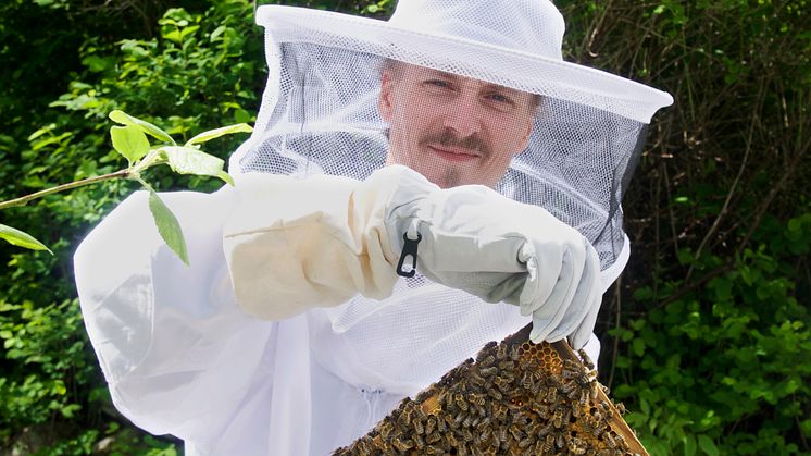 Kocken Paul Svensson hämtar nyslungad primörhonung direkt ur kupan. Foto: Anna Lind Lewin.