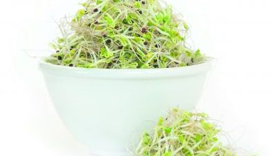 Broccoligroddar