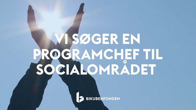 Bikubenfonden søger programchef til at skabe systemiske forandringer på socialområdet (to-årig ansættelse med mulighed for forlængelse)