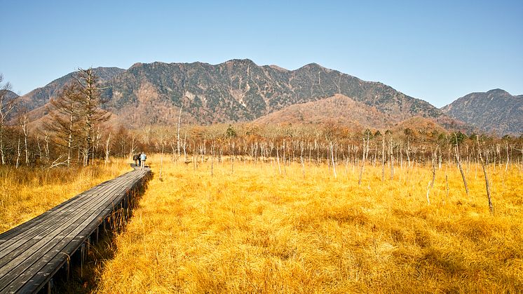 Senjogahara Plateau