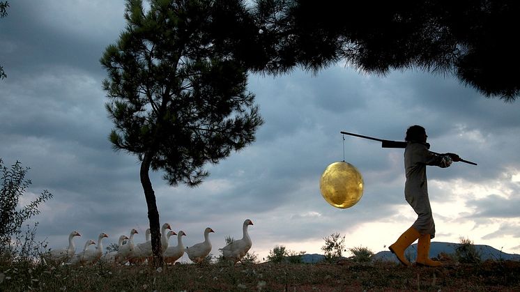 Moon Goose Colony (MGC), 2011–ongoing, photograph © Agnes Meyer-Brandis, BUS, 2019