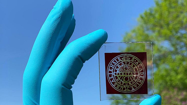 Färgämne-kombinationen för de nya solcellerna är optimerad för att absorbera mycket ljus vid synliga våglängder. Foto: Marina Freitag