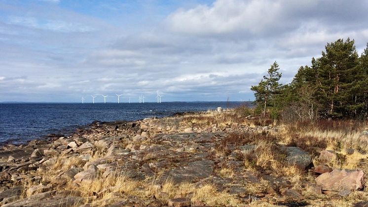Utsikt från Hammarö sydspets. Förhoppningen är att så många som möjligt ska kunna njuta av naturen på Hammarö sydspets och att satsningen ska ge positiva effekter för såväl boende i regionen som långväga gäster! Foto: Gunnar Lagerkvist