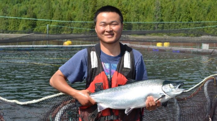Cermaq depends on healthy oceans to produce sustainable salmon, and we are committed to contributing to the UN's Sustainable Development Goals 