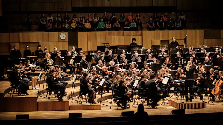 Skånes Ungdomssymfoniorkester Helbild
