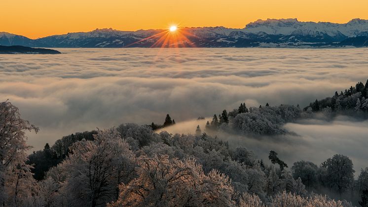 Blick vom Uetliberg (Zürich) © SchweizTourismus / Sylvia Michel