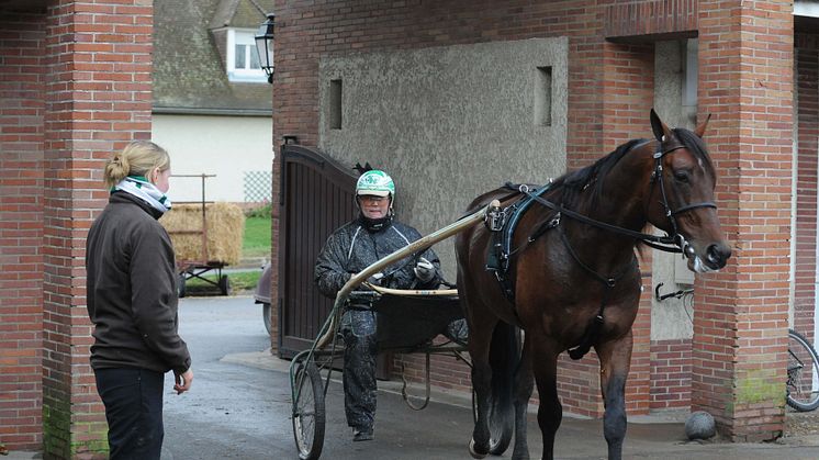 Maharajah siktar på revansch i Prix d’Amerique på söndag