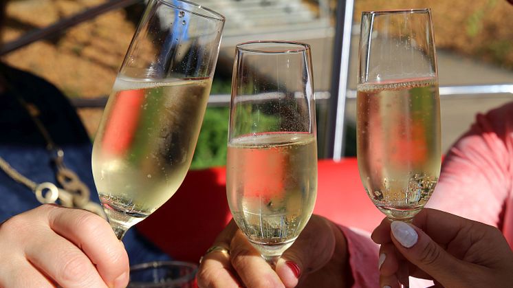 Canito sull' acqua - Kulinarische Schifffahrten in Leipzig - Erlesene Weine