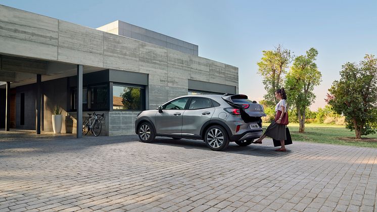 Puma exterior 2