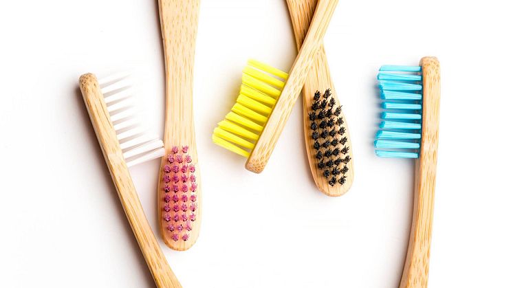 Humble Brush miljø 1