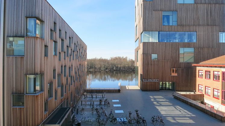 Arts Campus at Umeå University