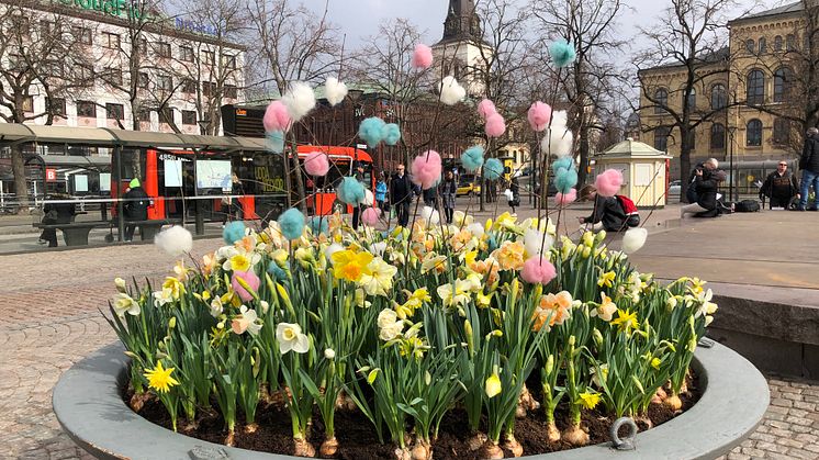 Påskplantering på Stora torget i Karlstad