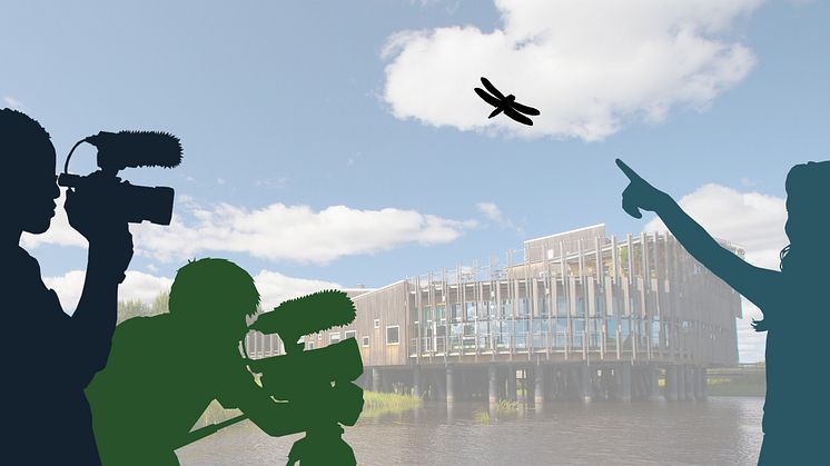 Premiär för naturfilmläger på naturum Vattenriket
