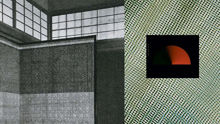 Från projektet SCRIM © Ida Nissen