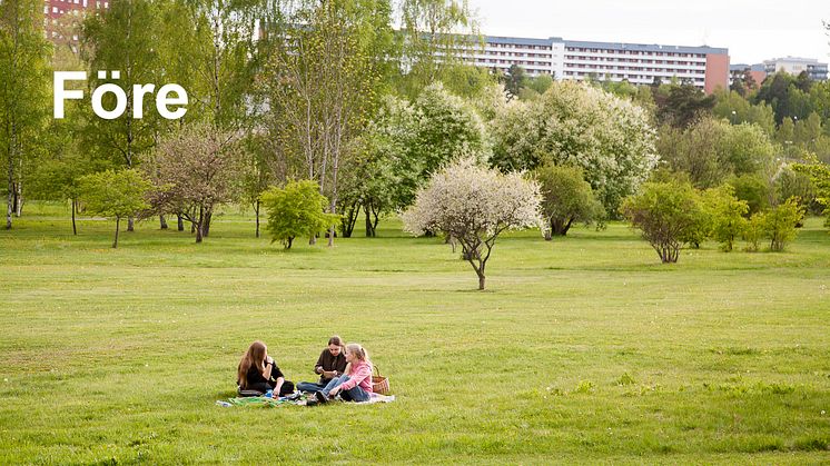 Järva begravningsplats bygger på ett prisvinnande arkitektförslag som profiterat på placeringen i en prisvinnande park, Järva DiscGolfPark (bilden).