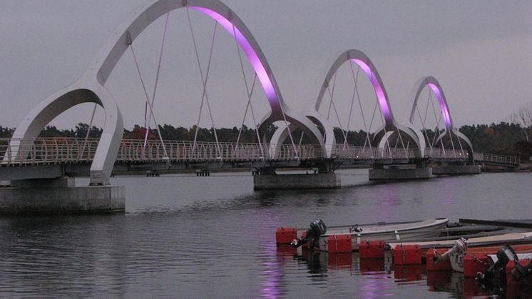 Världens längsta Rosa Band i Sölvesborg