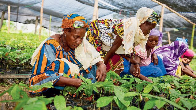 Nestlén vastuullisuusfoorumissa käsitellään kestävää kehitystä Afrikassa