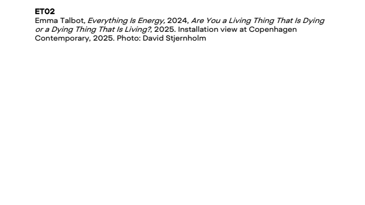 ET_Captions_2.pdf