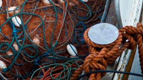 HaV öppnar åter kustfiske efter sill och skarpsill i Östersjön
