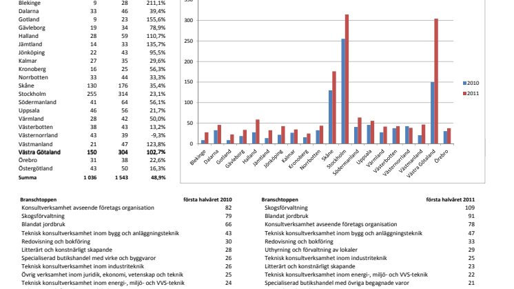 Vismas läns- och branschrapport över nyföretagandet bland pensionärer