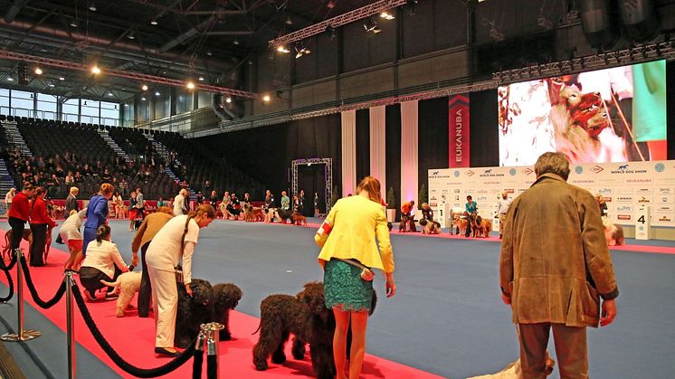 World Dog Show 2017 - Im Showring