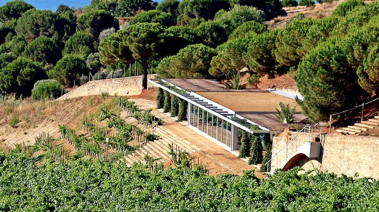 Resan till Barcelonas vinkultur