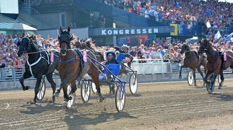 Timoko vinner Elitloppet 2014