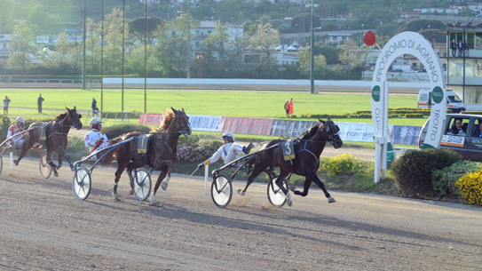 Mack Grace SM klar för Elitloppet 2012