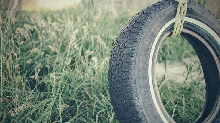 Foto: Scott Webb/Unsplash