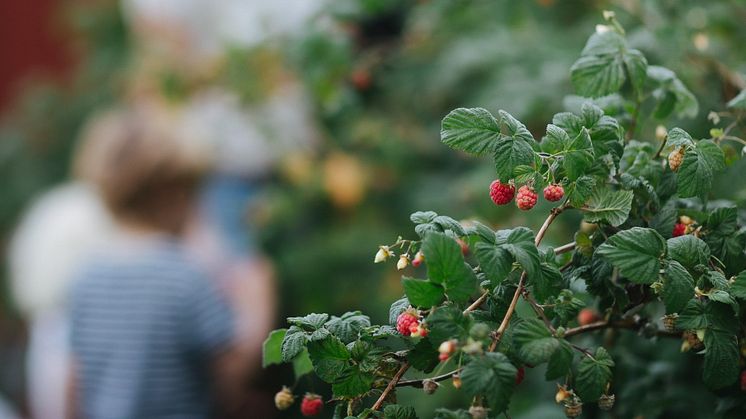 Foto: Vallentuna kommun