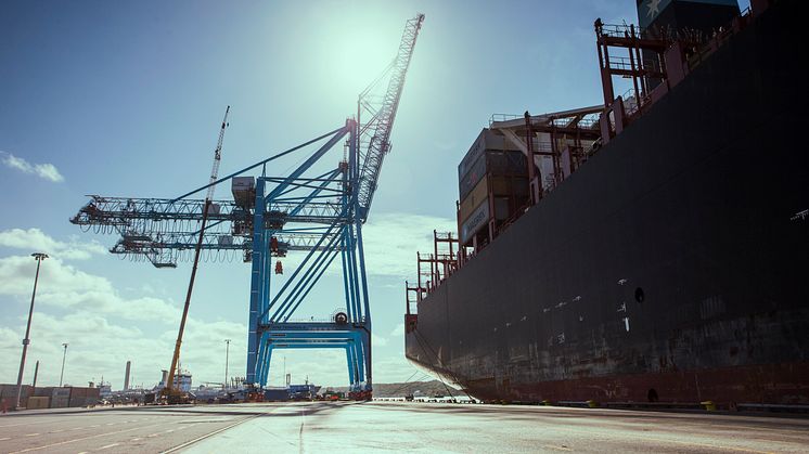 APM Terminals steg mot självservice 