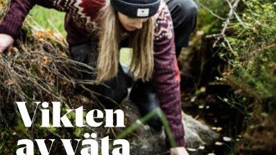 Nytt nummer av Hav & Vatten: Hästhagen det okända miljöhotet
