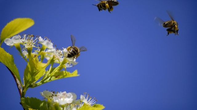 Bild: Shutterstock