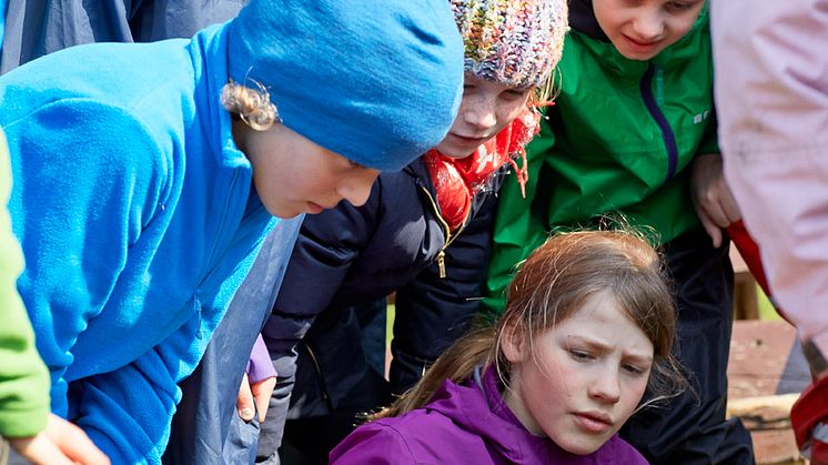 Plukning af høne er en af de mere alternative discipliner på MADlejr