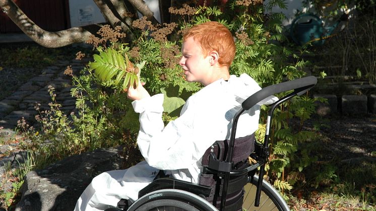 Grafikens Hus projekt VÄXA tillsammans med särskolan i Strängnäs