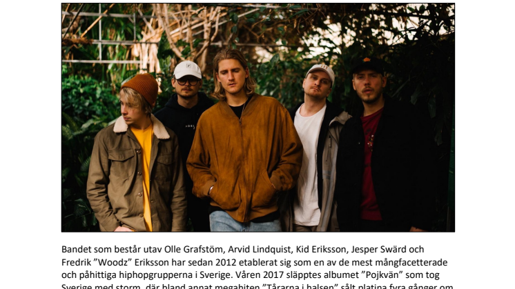 Tjuvjakt kommer till Furuvik i sommar