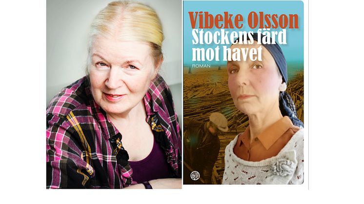 Vibeke Olsson släpper avslutande boken i serien om Bricken