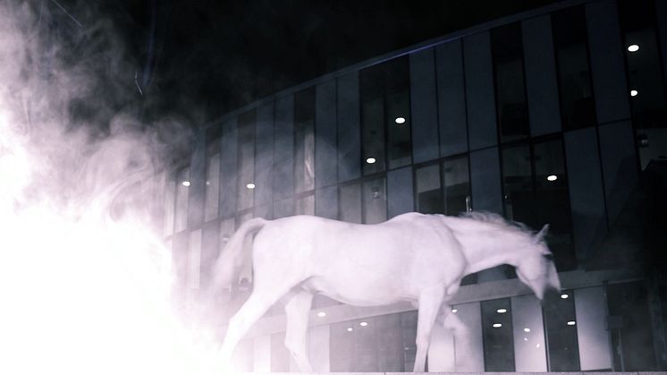 Helsingborg Horse Week