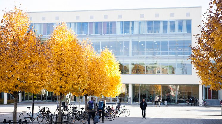​Uttalande angående dödsdomen mot Ahmadreza Djalali
